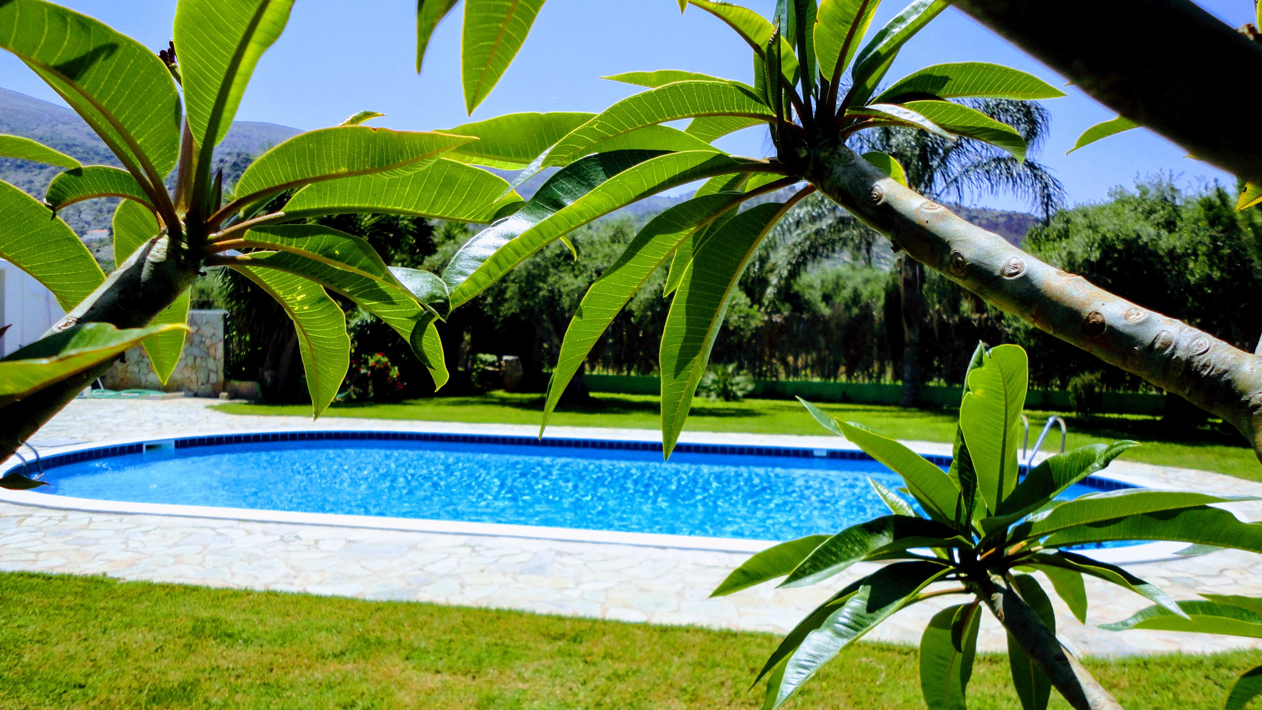 Ibiscus Hotel Malia Εξωτερικό φωτογραφία