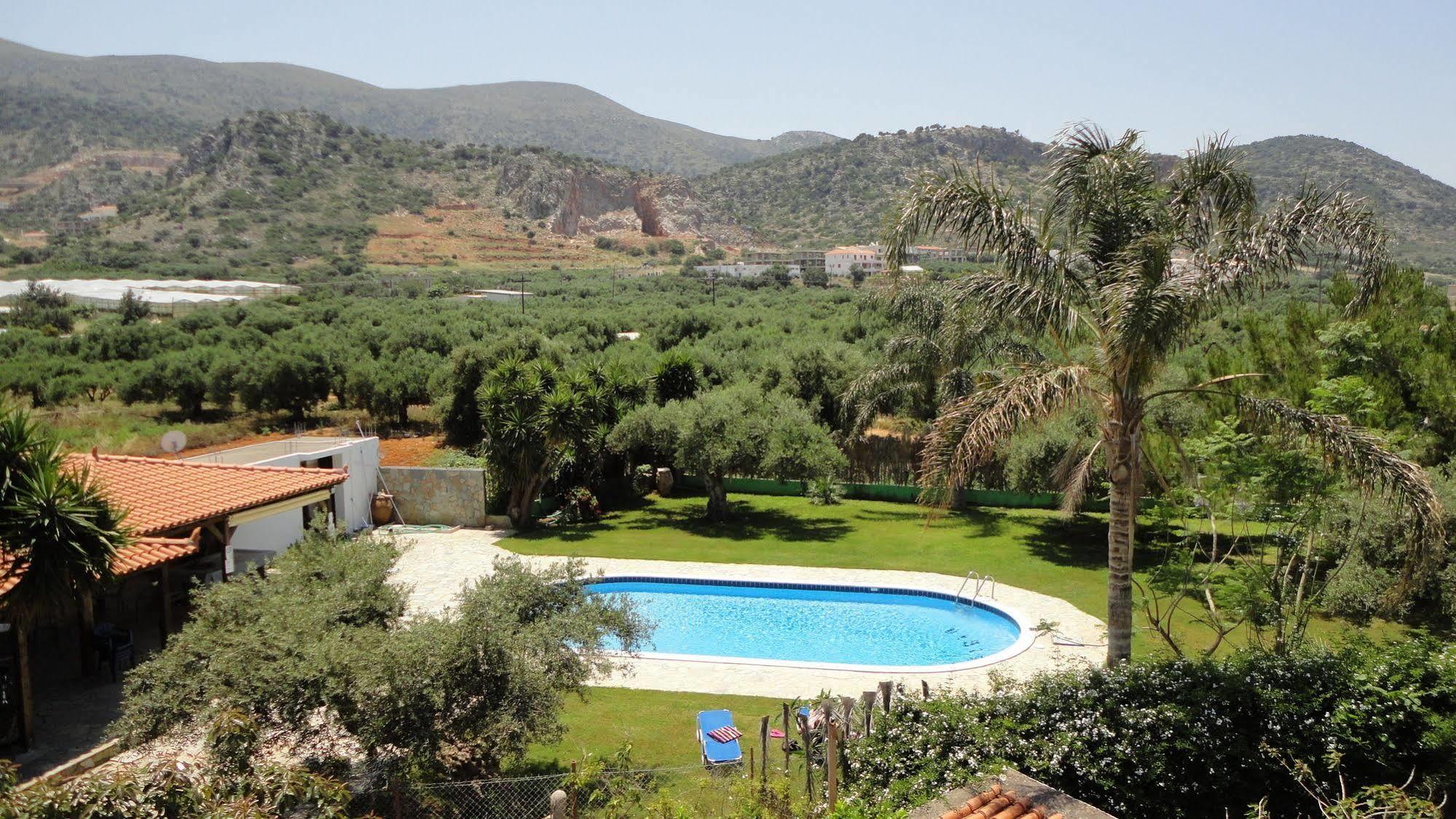 Ibiscus Hotel Malia Εξωτερικό φωτογραφία